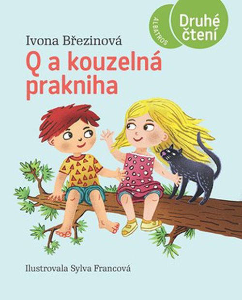 Q a kouzelná prakniha | Ivona Březinová, Sylva Francová