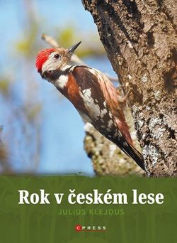 Rok v českém lese | kolektiv