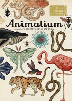 Animalium | Jenny Broomová, Katie Scottová