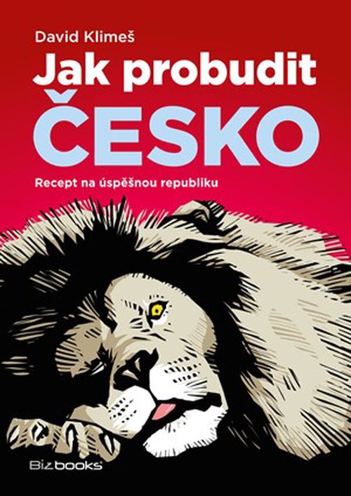 Jak probudit Česko | David Klimeš