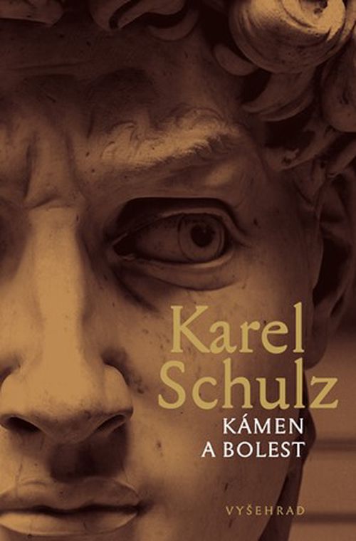 Kámen a bolest | Karel Schulz