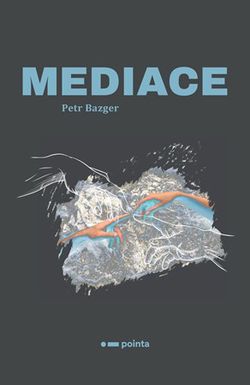 Mediace | Petr Bazger