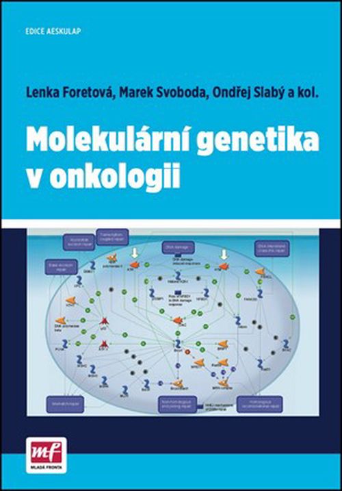 Molekulární genetika v onkologii | Lenka Foretová